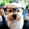 Sadia_Huda - @Sadia_Huda - TikTok