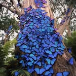 Sadia Kalsoom - @sadia.saqib.79 - Instagram