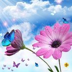 Sadia Mannan - Facebook