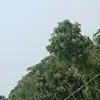 SADIA MANNAN - @sadia.mannan - TikTok