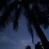 sadiamannan887 - @sadiamannan887 - TikTok