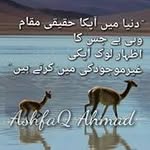 Sadia Munawar - @sadia.munawar.547 - Instagram