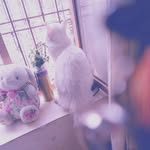 Sadia Suhail - @sadia.suhail.716 - Instagram