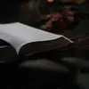 Sadie Ashe - @sadieashe - TikTok