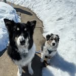 SADIE•ASHER - @sadie_and_asher - Instagram