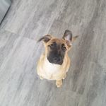 Sadie Benoit - @lifewith_sadie - Instagram