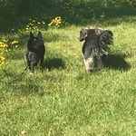 Sadie+Casey - @sadie_casey_forever - Instagram