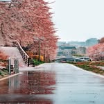 Sadie Chen - @sadiechen46 - Instagram