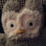 Sadie Rowena Coe - @owl_lovers_for_sadie - Instagram