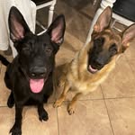 Sadie and Cooper - @sadie_cooper.s - Instagram