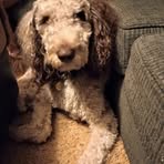 Sadie Cooper - Facebook