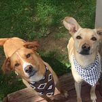 Sadie+Cooper - @coopsadie - Instagram