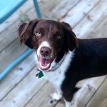 Sadie Mae - @sadie_mae_cormier - Instagram