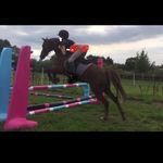 Sadie Cunningham - @sc_equestrian.xx - Instagram