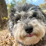 Sadie Fleming - @sadie_adventurez - Instagram