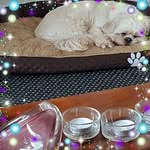 Sadie Fleming - @sadie.fleming.59 - Instagram
