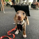 Sadie Fleming - @sadiethelittlelady2023 - Instagram