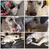 Sadie gray - @sadie_gray._ - TikTok