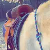 Sadiegray - @sadiegray66 - TikTok