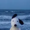 OurLittlesecret - @sadie.hall3 - TikTok
