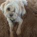Sadie Harmon - Facebook
