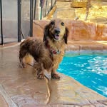 Sadie Jensen - @sadie_the_weiner - Instagram
