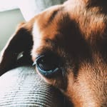@_sadie.loo101_ - Instagram