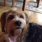 Sadie Loo Hixson - @sadie.the.lady - Instagram