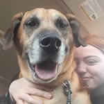 Sadie Loo the Mix 🐶 - @sadieloothemix - Instagram