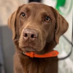 Sadie Lou Brenneman - @sadie_loo_who - Instagram