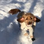 Sadie - @sadie_loo_hoo - Instagram
