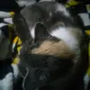 Sadie Lopez - @sadie.lopez7 - TikTok