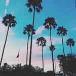 sadie maxwell - @sadiemaxwell827 - Instagram