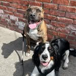 Sadie and Murphy - @murphyandsadiemae - Instagram