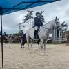 sadie_murphy8 - @sadie_murphy8 - TikTok