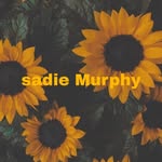 Sadie Murphy - @sadie_girl_gymnast - Instagram