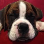 Sadie Murphy Vogelbacher - @_sadie_murphy_ - Instagram