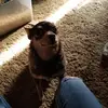 Sadie Ryan - @sadie.ryan87 - TikTok
