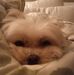 Sadie Steinberg - Facebook
