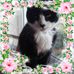 Terry-Sadie Stratton - Facebook