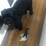 Sadie Sunflower Stuart - @sadie_sunflower_stuart - Instagram