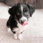 Sadie Sutton - @sadiesutton365 - Instagram