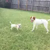 Sadie_webb - @sadie____webb - TikTok