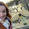 Sadie Webb - @sadie.webb0 - TikTok