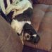 Sadie Webster - Facebook