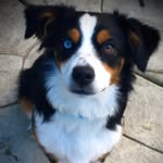 Sadie Webster - @sadie_dawg_ - Instagram