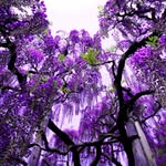 Sadie Yoder - @sadietech - Instagram