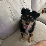 Sae Rom Yoo - @saeyoo - Instagram