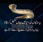 Saeed Ishaq - Facebook