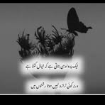 Saeed M Ismail - Facebook